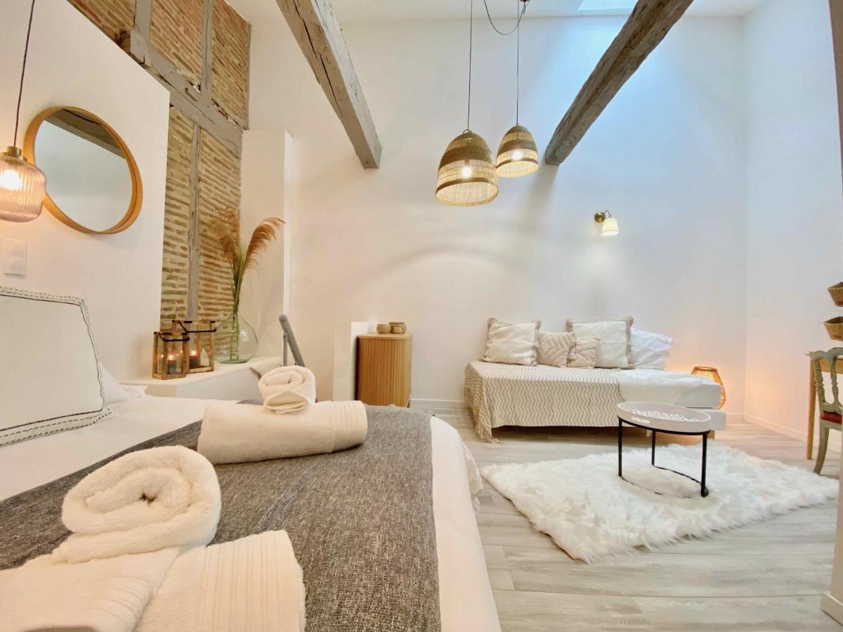 Apartament La Parenthese Occitane Castres  Zewnętrze zdjęcie